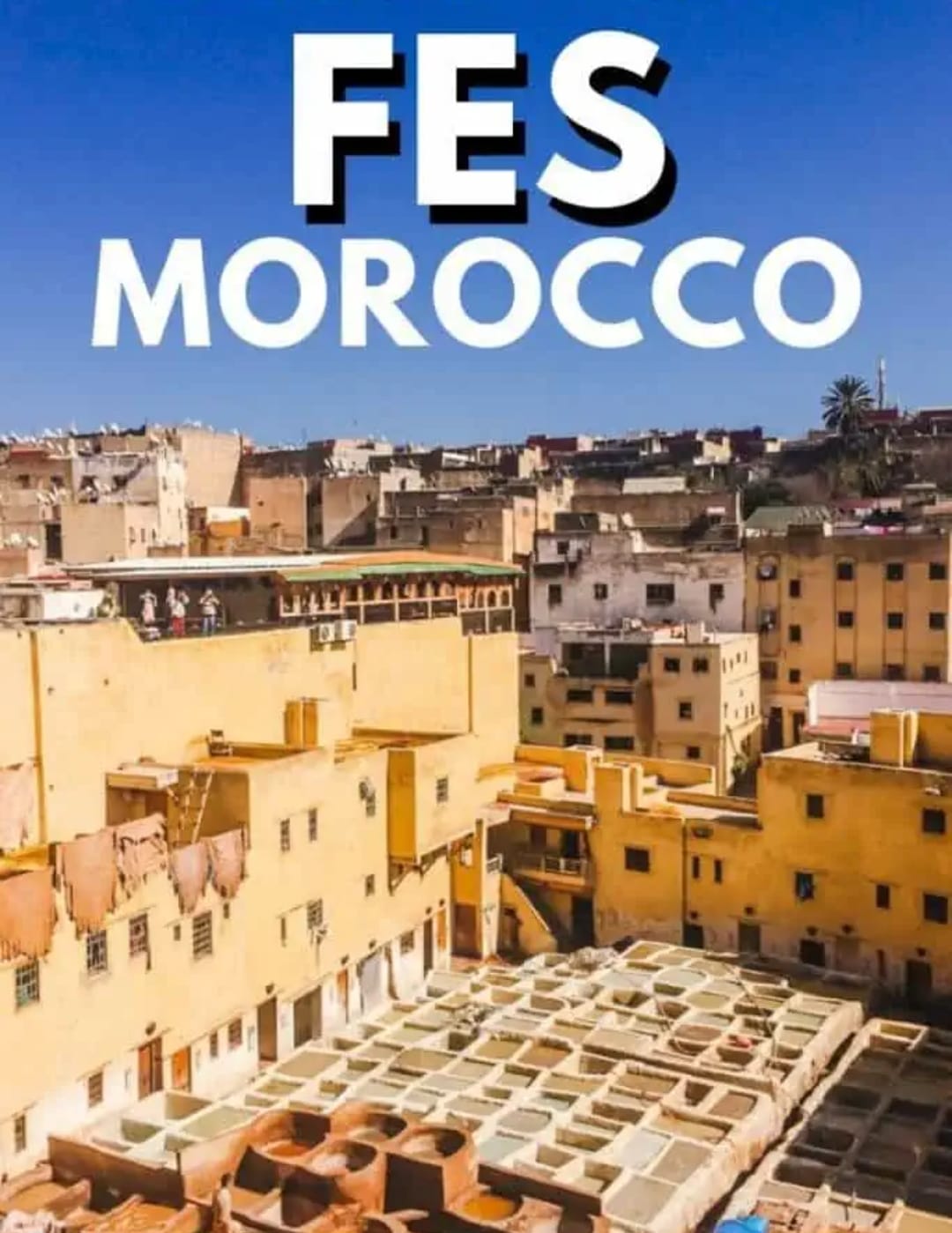 HOTELS & SEJOURS   FEZ